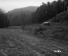 Field by Road