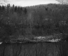 Wooded Hills by River