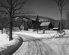 Fork in Snowy Road