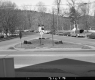 Grass Median