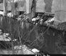Side of Bridge