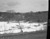 Field by Dirt Road