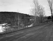 Dirt Road with Trees