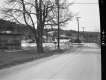 Houses by Road