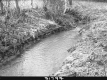 Stream and Grass