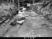 Stream Surrounded by Plants