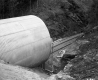 Tracks and Pipe