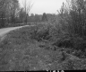 Field by Bridge