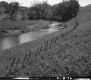Slope Toward River