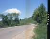 Trees by Road