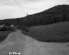 Field by Dirt Road
