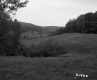 Field with Electrical Wires