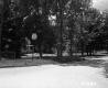 Houses by Road