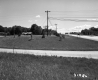 Grass by Roads