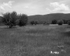 Field with Fence