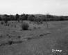 Field with Grass