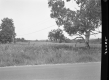 Field by Prouty Drive