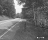 Wood Pole by Road