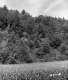 Crop Field and Hill