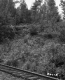 Tracks by Lush Area