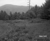 Electrical Wires in Field