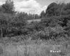 Electrical Wires above Field