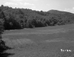 Field and Wooded Mountainside