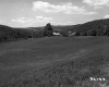 Field by Mountains
