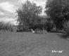 House with Yard