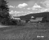 Farm by Field