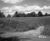 Dirt Road through Field