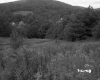 Field by Mountainside