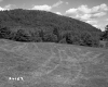 Field by Mountain