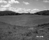 Fenced-In Field
