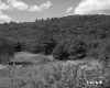 Field by Wooded Mountainside