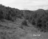 Electrical Wires on Hill