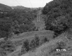Electrical Wires on Hill