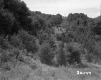 Electrical Wires on Hill