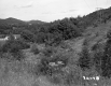 Slope with Trees and Wires