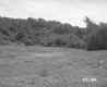 Field and Mountainside