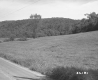 Dirt Road by Field