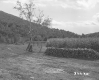 Farmstead in Barnet, Fence with Chopped Wood Row From Clearing