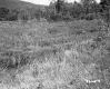 Grassy Field in Wallingford with Train Tracks and Hilly Forest
