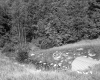 Culvert and Small Stream in Wallingford