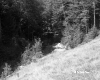 Steep Hill with Culvert and Forest