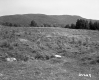 Hilly Grassy Landscape Becomes Mountainous in Wallingford
