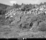 Slide Area off I-91 on Ryegate-Barnet Section, Looking Northerly