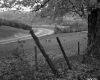 Southerly View of I-91 Lanes in St. Johnsbury, With Grazing Cattle 2