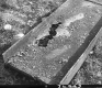 Rusted Steel Pan