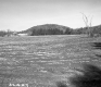Crop Field